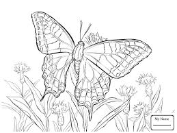 This collection includes mandalas, florals, and more. Butterfly Coloring Pages For Kids 100 Pictures Print For Free