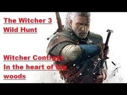 The Witcher 3 Wild Hunt Woodland Spirit Trophy Achievement In The Heart Of The Woods The Witcher The Witcher 3 Witcher 3 Wild Hunt