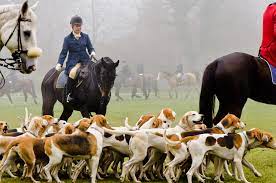 Both of the following methods for making your own descaler will work on all coffee machine from the cheap manual ones to the expensive automatic coffee. Long Ears Blog Coonhound Foxhound Companions
