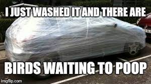 Very annoying to have someone speak over you so rudely. Keeping My Car Clean Imgflip