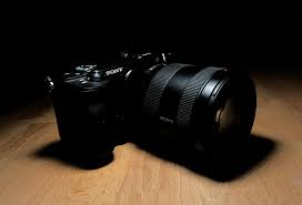 Just reading the spec sheet makes it clear that if you're after a compact, premium camera with all the bells and whistles, you should definitely consider the a6600 on. Sony A6600 Review A Small But Mighty Mirrorless For Wildlife Photography Enthusiasts Oxbow Photography