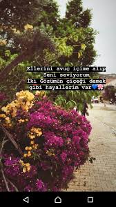 Elif Kara Adli Kullanicinin Araf Panosundaki Pin Yazar Sozleri Guzel Soz Hayaller
