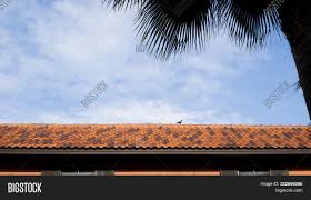 Yellow and orange always look good together as well as suit a mediterranean style home. Roof Top On Sky Image Photo Free Trial Bigstock
