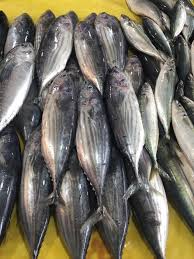 Unsay kalahian sa bariles, baby bariles ug barilison? Arbheng Fish Dealer And Retail Posts Facebook