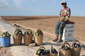 Vendeur De Fruits Sur La Route Maroc Que Du Bonheur Le Bleddd Morocco East Africa Wonders Of The World