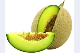 Bentuknya membulat dengan kulit buah berwarna hijau dan teksturnya berjala, seperti terlapisi budidaya melon di daerah tropis seperti indonesia cukup rentan dengan serangan hama dan penyakit. Abis Makan Melon Jangan Buang Bijinya Biar Tubuhmu Terhindar Dari Penyakit