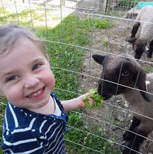 How to deal with cravings and guilt