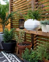 11 Chic Ways To Make Your Yard More Private Backyard Privacy Diy Privacy Fence Backyard Landscaping