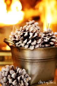 Mar 25, 2021 · pine cone fire starter directions if you want to create colorful flames, fill a plastic bucket or tub with two quarts hot water. Easy Pinecone Fire Starters Skip To My Lou