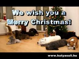 For Once Dogs Decorate A Christmas Tree Instead Of Destroying It Christmas Surprise Dog Holiday Doggy