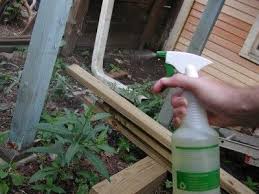 But you can also use a safe spray bottle for a more controlled use but it should be made of compatible materials. What Is Foliar Spray Learn About Different Types Of Foliar Spraying Foliar Spray Natural Pesticides Gardening Tips