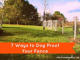 Check spelling or type a new query. Peace In The Yard 7 Ways To Dog Proof Your Fence Notes From A Dog Walker