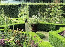 Picture, if you will, the towering hedges on the grounds of an english estate or bordering the yard of a quaint cottage. Cottage Gardens Instant Hedges Landscape Inspiration Garden Ideas Knot Garden Boxwood Hedges Landscaping Cottage Garden Green Mountain Boxwood