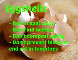 We did not find results for: Eggshells How Not To Use Them In The Garden Garden Myths