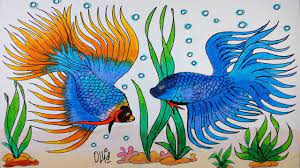 Cara ini dilakukan pejantan untuk menaklukkan ego dari ikan. Menggambar Ikan Cupang Serit Dan Blue Serit Dengan Crayon Oil Pastel Ikan Cupang Ikan Pastel