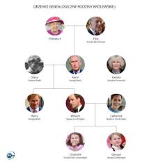 Rodzina królewska otrzymuje na wydatki 15 proc. Gorset Ktory Uwiera To Bedzie Koniec Krolestwa Jakub Loska Magazyn Tvn24