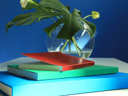 It is a nice size, not too small, though considering the quality of the photos, one might long for a large format coffee table book. Dgf Rgb Books Three Star Books