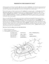 Plant cell walls are primarily composed of cellulose, but in many prokaryotic cells, the cell walls are composed of peptidoglycans, which is essentially a combination of sugars and amino acids. Prokaryotic And Eukaryotic Cells
