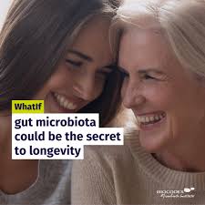 International Day of Older People] Could the key to a long, vibrant life  lie in gut microbiota? 🦠 It might be the case as recent research suggests  that the gut microbiota of