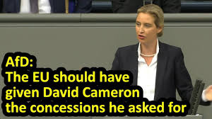 Kay nietfeld / picture alliance / dpa the afd has announced the result of its member survey: Afd Co Leader Speech On Brexit In Bundestag Alice Weidel English Subtitles 21 03 19 Youtube