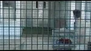 смотреть узбекский фильм на русском языке супер невестка 2 Ne Para Uzbek Film Na Russkom Yazyke 2010 Mp4 Smotret Onlajn