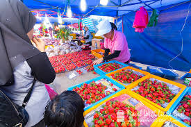 Check spelling or type a new query. Things To Do In Cameron Highlands Traveling Inspirations Blog