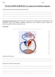 Ce que je crois savoir et les questions que je me pose sur l'air dans mon corps Equence Sur La Respiration Cm 1 Cours Digestion Cycle 3 Publie Dans Cm1 Cm2 Sciences Mots Mata Hati
