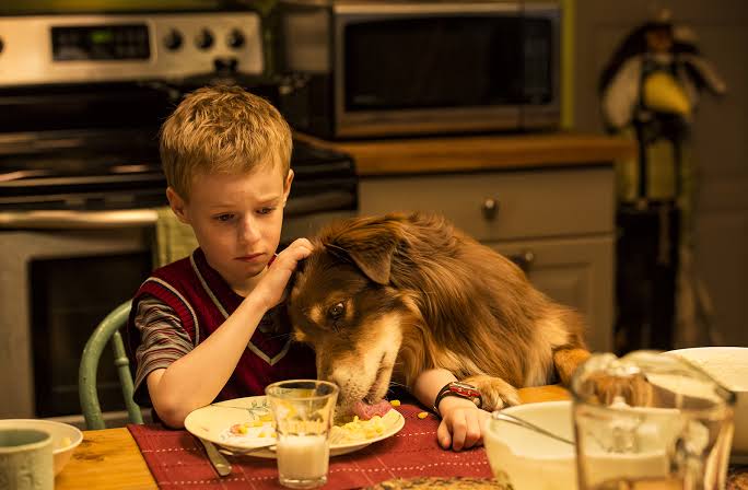 The Young and Prodigious T.S. Spivet - John McDonald