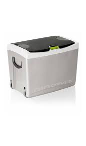 Fino a 60 ° c. Frigo Portatile 220v 12v Beach Cooler Full Movie