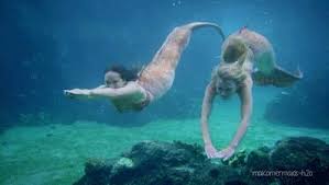 14 Ideas De Las Sirenas De Mako Sirenas De Mako Sirenas H2o Sirenas Del Mar Pato se reunio para dar un paseo. sirenas de mako sirenas h2o sirenas