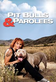 (canceled or renewed?) pit bulls & parolees is returning for an18th season, . What Time Does Pit Bulls And Parolees Come On Tonight