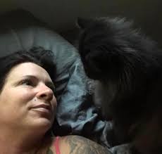 Help find lost cat Weezy