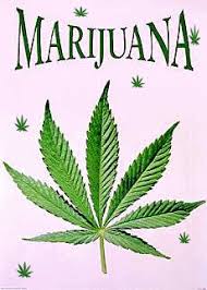 Image result for marijuana leaf