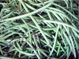Image result for Vigna unguiculata