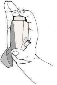 Image result for Intranasal Ciclesonide