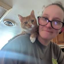 Shark week needs new host