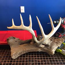 The coat rack is more than a functional piece. Shed Antler Coat Rack Kentucky Hunting
