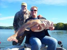 All rivers in tennessee ultimately flow to the gulf of mexico. Tennessee River Monsters Clinton Aktuelle 2021 Lohnt Es Sich Mit Fotos