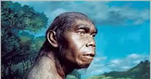 Maybe you would like to learn more about one of these? Ciri Ciri Pithecanthropus Erectus Brainly