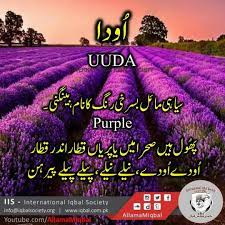 Pin By On Urdu Persian Arabic Word Meaning Urdu Words Urdu Words With Meaning Words
