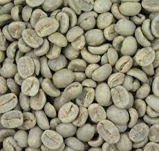 Organic Ceylon Seeds Coffee Wild Harvested Fresh Whole Etsy Coffee Beans Single Origin Coffee Green Coffee Extract