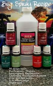 Sometimes, you might not want to use essential oils in your natural bug spray. Pin On Essentials