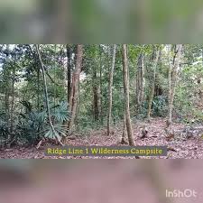 Polis ketiga yang mati adalah seorang polis peronda yang sedang menahan seseorang di depan hutan simpan. Wilderness Experience Expedition At Hutan Simpan Kawang Papar Home Facebook