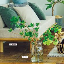 Ymiztani さんのコレクション • 最終更新： 2 週前. Albacken ã‚¢ãƒ¼ãƒ ãƒã‚§ã‚¢ Luna Plutoniana