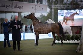 مهرجان الأمير سلطان بن عبدالعزيز العالمي للجواد العربي 2019 ينطلق اليوم الاربعاء الجدول الزمني Arabian Horse Horses Animals