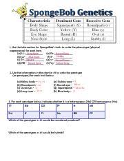 Sponge bob genetics dihybrid key. Kami Export Desiree Herrera Sponge Bob Genetics Pdf Spongebob Genetics 1 Use The Information For Spongebobs Traits To Write The Phenotype Physical Course Hero