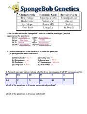 4/23/14 block:_ genetics practice problems. Kami Export Desiree Herrera Sponge Bob Genetics Pdf Spongebob Genetics 1 Use The Information For Spongebobs Traits To Write The Phenotype Physical Course Hero