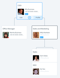 How To Make A Business Organizational Chart In 3 Steps