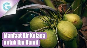 Manfaat air kelapa untuk ibu hamil source: Manfaat Air Kelapa Hijau Untuk Ibu Hamil Youtube
