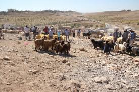 Mardin Midyat Ta Hayvan Saticilarindan Pazar Yeri Talebi
